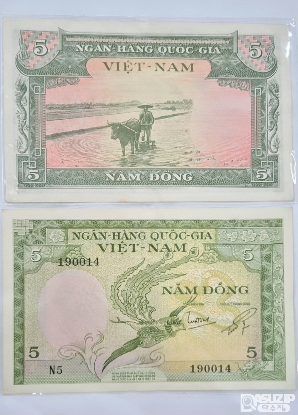 누드 지폐: 1955년 베트남지폐  5동