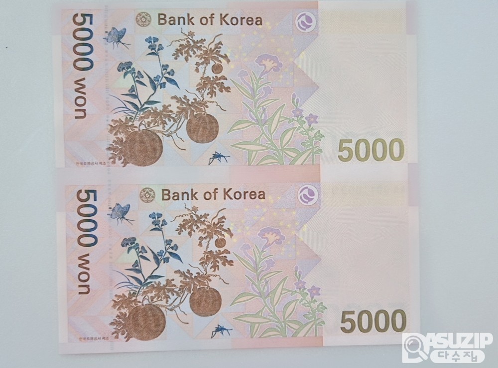 누드 지폐: 5차 오천원 2면부