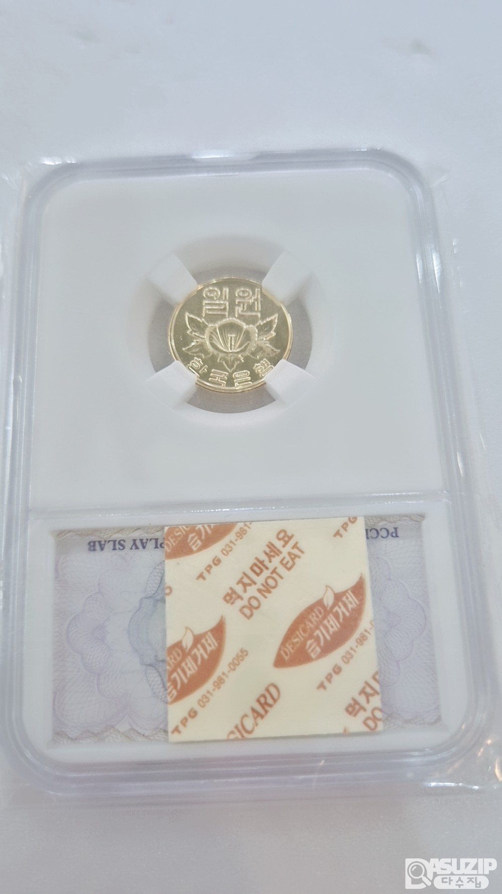 금도금 알주화: 1966년 1주