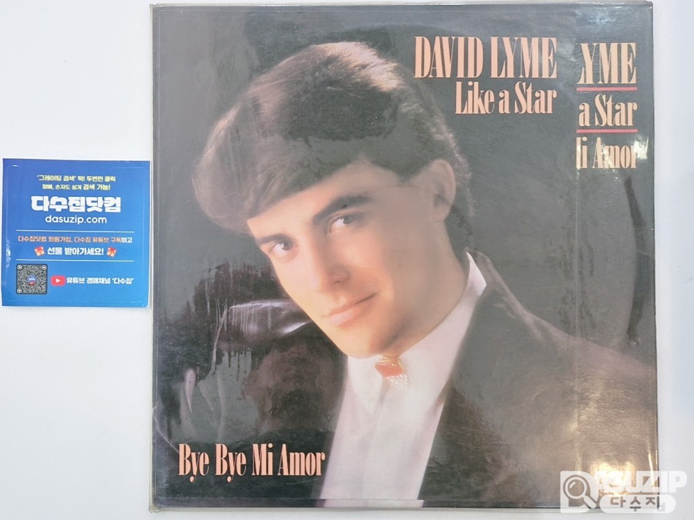LP : 스페인 가수 데이비드 라임 (DAVID LYME)