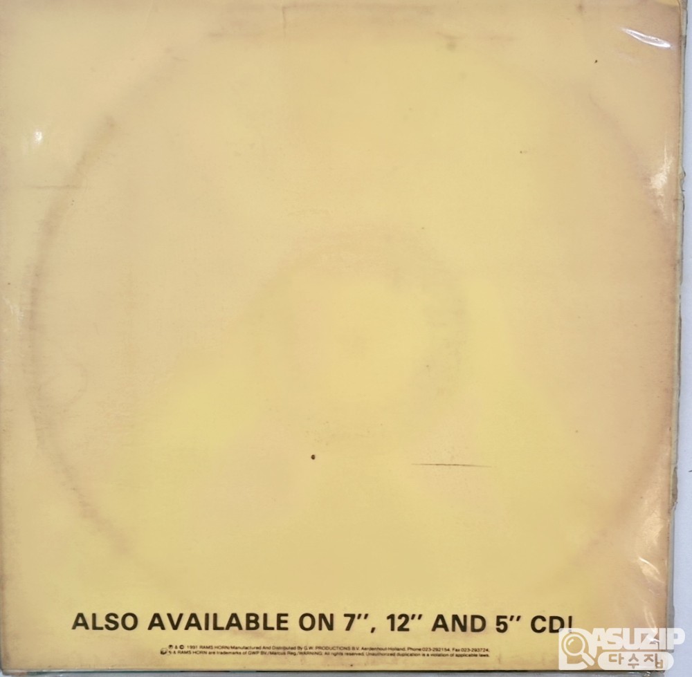 Debbie D는 1991년 발매된 싱글 **'Sound Your Funky Horn'**으로 알려진 아티스트입니다